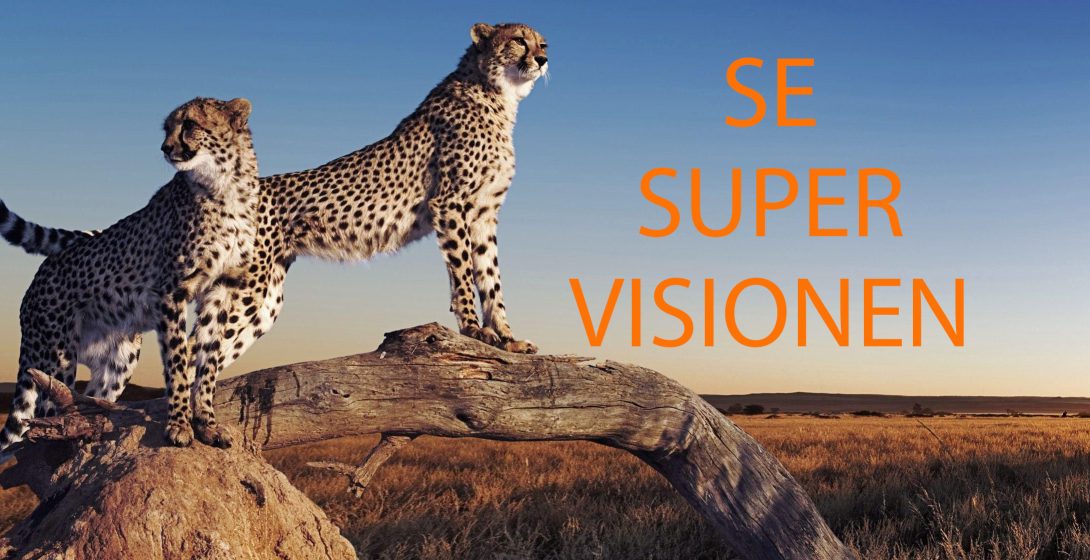 SE-Supervisionen-Gepard