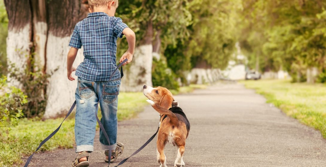 Junge-mit-Hund